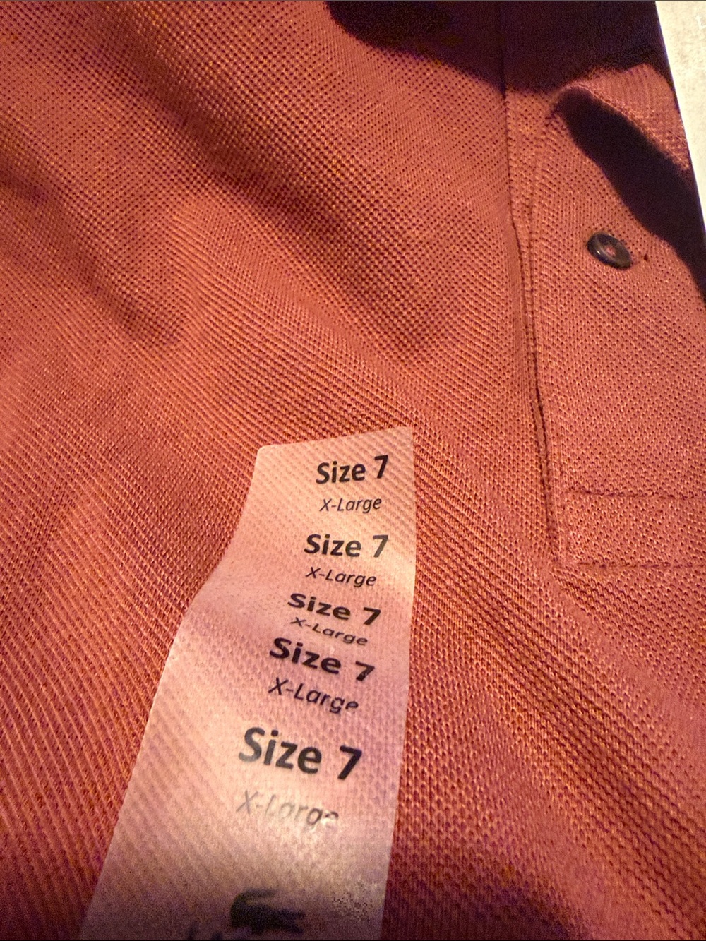 Lacoste Men's Brick Red Polo Shirt with Signature Crocodile - Picture 4 of 7